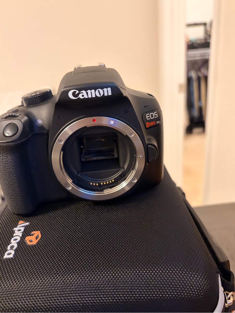 Canon Rebel 7 DSLR Camera + 2 Lenses - Picture 3 of 7